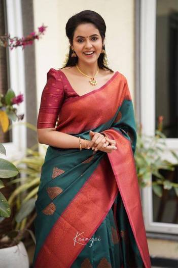 Anx 261 By Sagar Impex Banarasi Silk Saree Collection